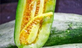 吃瓜爆料网红,吃瓜爆料背后的真相与内幕