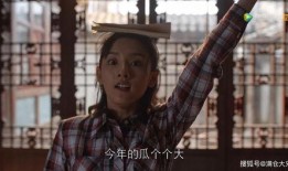 娱乐圈吃瓜阴谋论,吃瓜背后的阴谋与真相