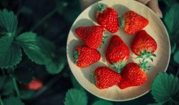 草莓在线观看1,甜蜜诱惑，浪漫来袭