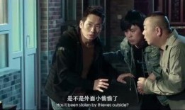 站住小偷在线观看,网络直播抓捕行动幕后揭秘